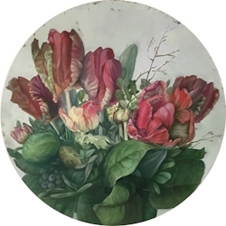 Tulpen