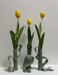 Tulpen1 s